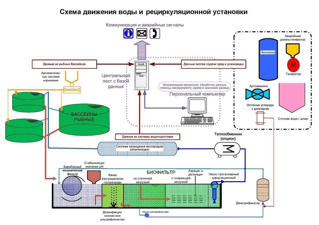 Поздравление с юбилеем товароведа Поздравление с юбилеем товароведа