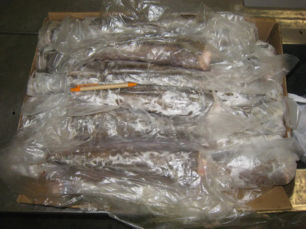 фотография продукта продажа рыбы морепродуктов