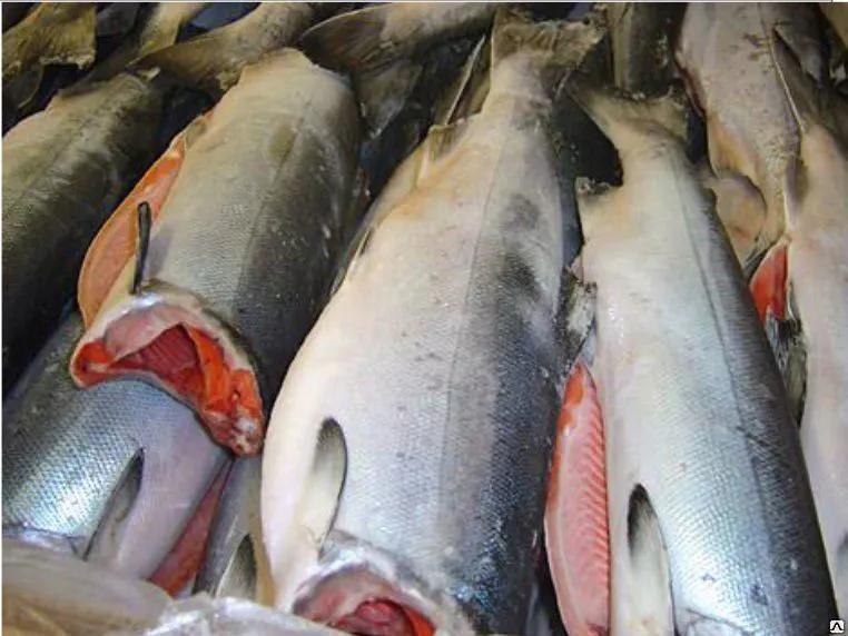 фотография продукта Рыбу, морепродукты и морские деликатесы