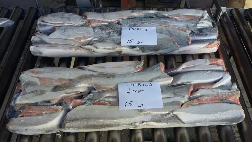 фотография продукта Рыба дальневосточная свежемороженая 2019