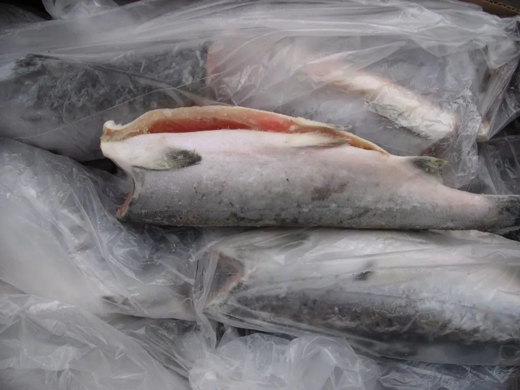 продажа  рыбы и морепродуктов в Санкт-Петербурге 2