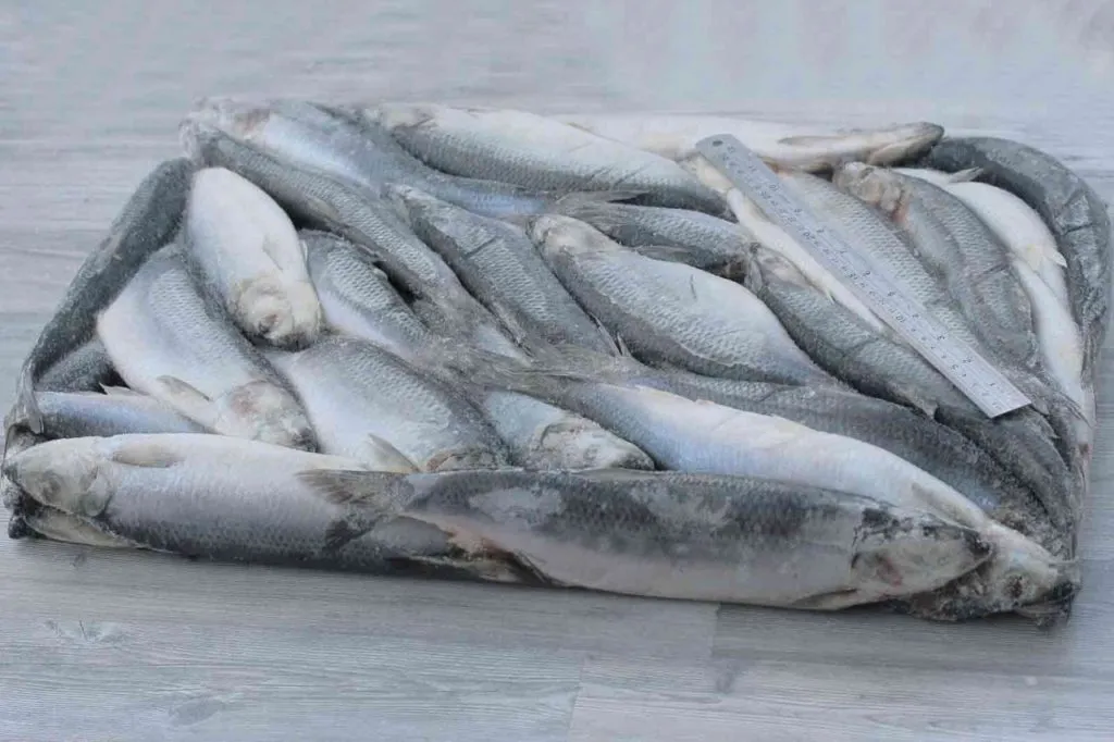 продажа  рыбы и морепродуктов в Санкт-Петербурге 7