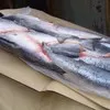 продажа  рыбы и морепродуктов в Санкт-Петербурге 4